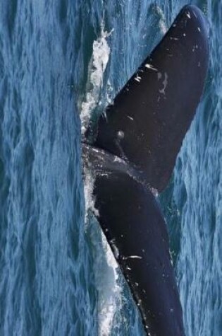 Cover of Massive Fluke of a Humpback Whale Journal