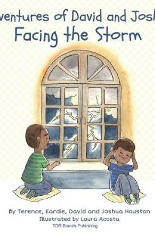 Cover of Facing the Storm