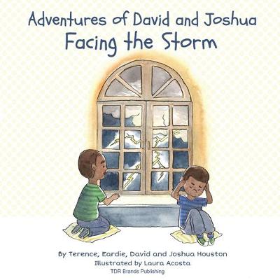 Book cover for Facing the Storm