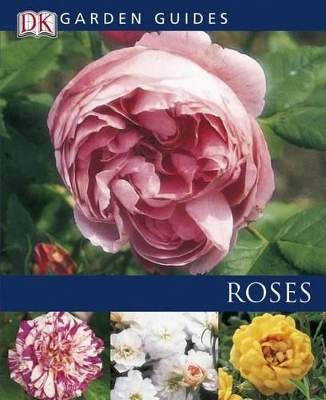 Cover of Roses