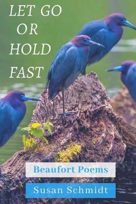 Book cover for Let Go or Hold Fast