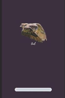 Book cover for Owl