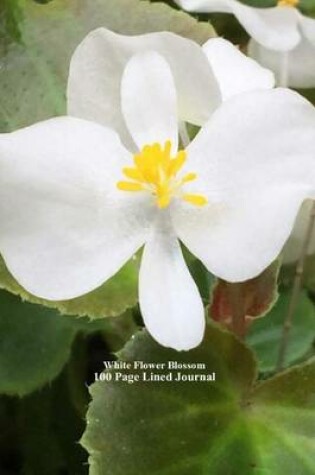 Cover of White Flower Blossom 100 Page Lined Journal