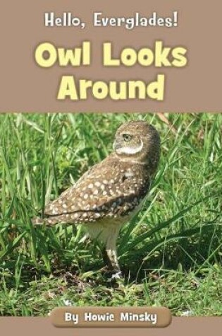 Cover of Owl Looks Around