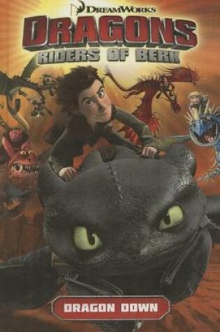 Cover of Dragons: Riders of Berk, Volume 1