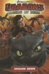 Book cover for Dragons: Riders of Berk, Volume 1