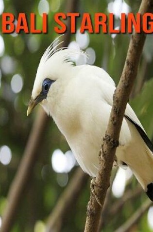 Cover of Bali Starling