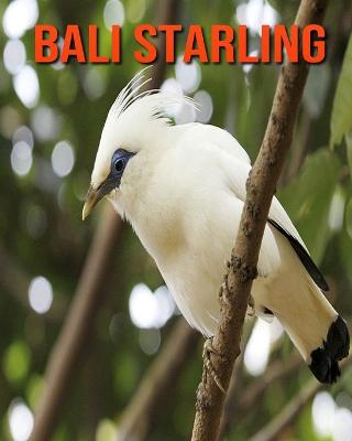 Book cover for Bali Starling