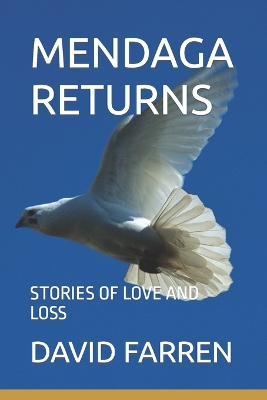 Book cover for Mendaga Returns