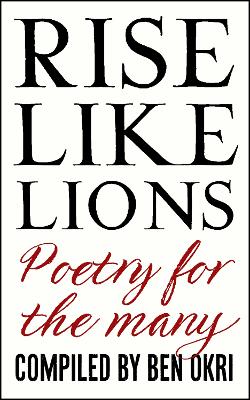 Book cover for Rise Like Lions