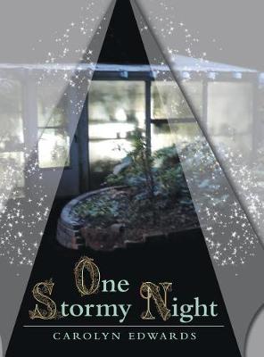 Book cover for One Stormy Night