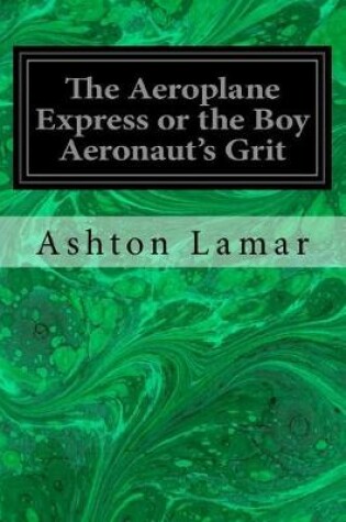 Cover of The Aeroplane Express or the Boy Aeronaut's Grit