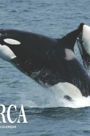 Cover of Orca