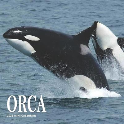 Book cover for Orca