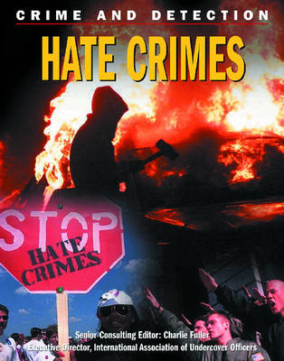 Book cover for Hate Crimes