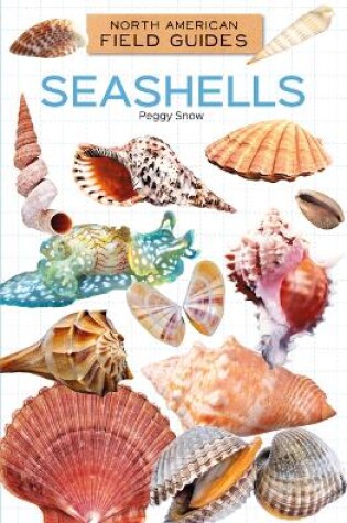 Cover of Seashells