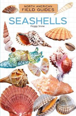 Book cover for Seashells