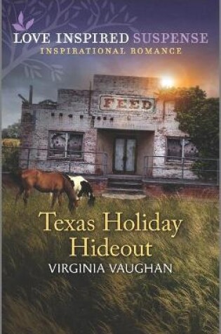 Cover of Texas Holiday Hideout