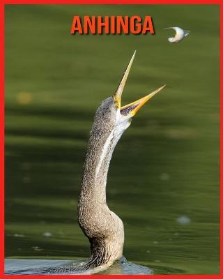 Book cover for Anhinga