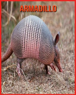 Book cover for Armadillo