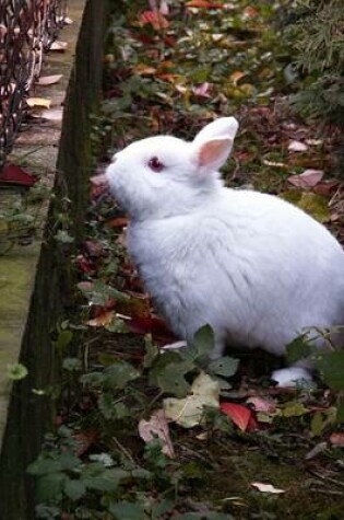 Cover of Precious White Bunny Rabbit Journal