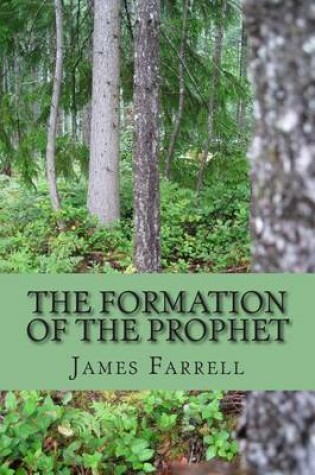 Cover of The Formation of the Prophet