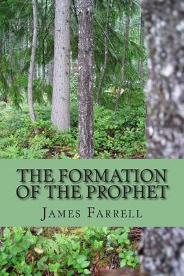 Book cover for The Formation of the Prophet