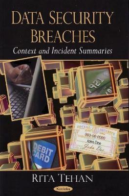 Book cover for Data Security Breaches