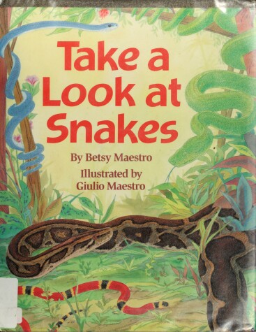 Book cover for Take a Look at Snakes