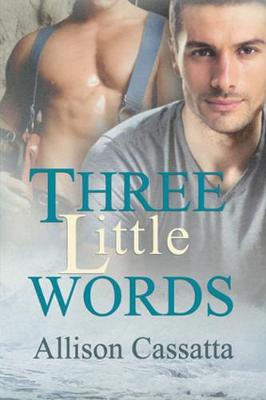 Book cover for Three Little Words