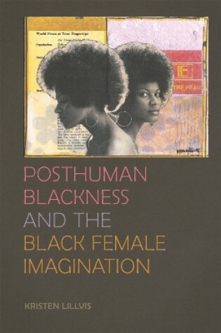 Cover of Posthuman Blackness and the Black Female Imagination