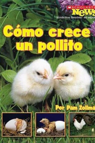 Cover of Como Crece un Pollito