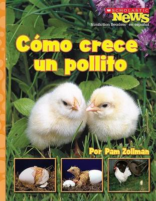 Book cover for Como Crece un Pollito