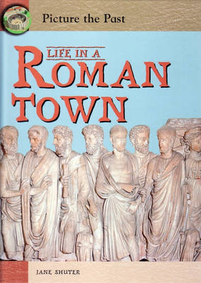 Book cover for Picture The Past: Life In A Roman Town