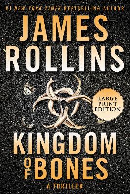 Book cover for Kingdom Of Bones