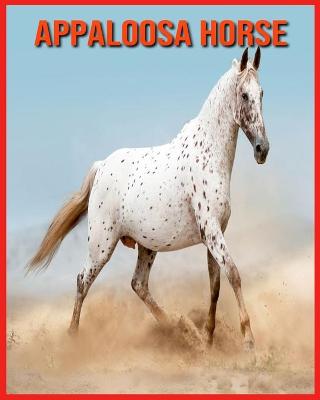 Book cover for Appaloosa Horse