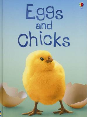 Book cover for Eggs and Chicks
