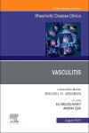 Book cover for Vasculitis, an Issue of Rheumatic Disease Clinics of North America, E-Book