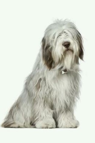 Cover of Bearded Collie