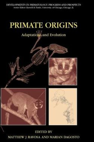 Cover of Primate Origins: Adaptations and Evolution