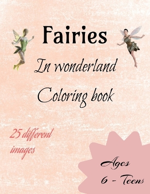 Book cover for Fairies in wonderland coloring book