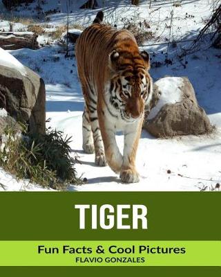 Book cover for Tiger