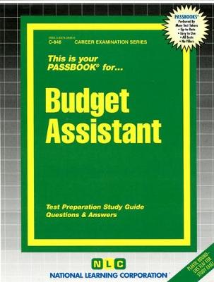 Book cover for Budget Assistant