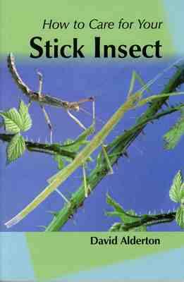 Book cover for How to Care for Your Stick Insect