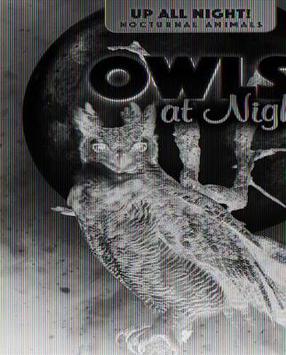 Book cover for Owls at Night