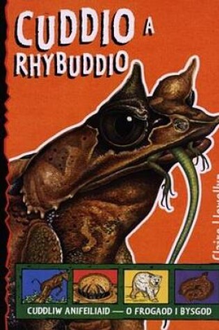 Cover of Cyfres Ffaith i Ti!: Cuddio a Rhybuddio