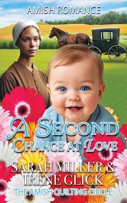 Cover of The Amish Baby's Healing Touch