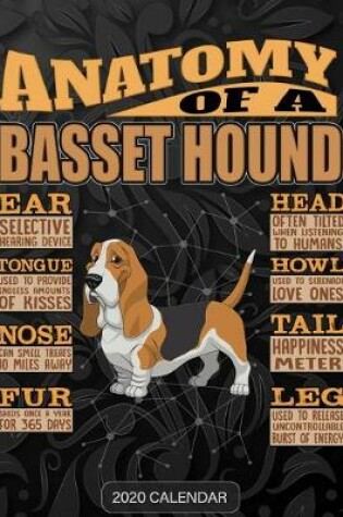 Cover of Anatomy Of A Basset Hound hound dog