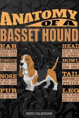 Book cover for Anatomy Of A Basset Hound hound dog