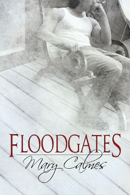 Book cover for Floodgates